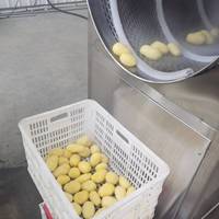 5T- 6 T/h Aardappelstoomschilmachine Stoomschiller Voor Bevroren Frietjes Frites Friet Lijn Aardappelchips Aardappelpuree Vlokken Lijn