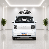 Bestune Pony Mini EV 2026, запас хода 222 км (CLTC), 4 места, полностью электрический автомобиль, городской транспорт на новой энергии
