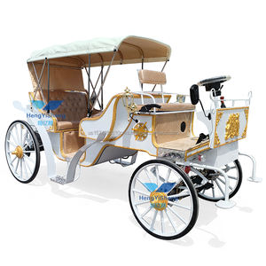 Transport à cheval à 4 roues pour les visites touristiques du parc Transport spécial pour les visites touristiques - Product Image 1