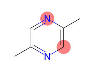 Long Term Cooperative Factory Price 2,5-dimethylpyrazine CAS: 123-32-0 in Stock with Best Price - Product Image 2