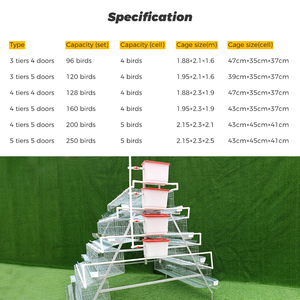Cage à poules pondeuses de <span class=keywords><strong>type</strong></span> A, 4 niveaux, 4 portes, cages à poules pondeuses en batterie, poulaillers pour équipement agricole - Product Image 5