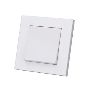 PC material 16A cover plate for light switch
