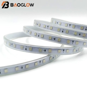 Factory Direct Sales RGB <b>LED</b> <b>Lights</b> Indoor Outdoor Lighting Decorative <b>LED</b> Strip 220V 60 <b>Led</b> 12MM PCB IP67 100m/roll Garden Lamp - Product Image 2
