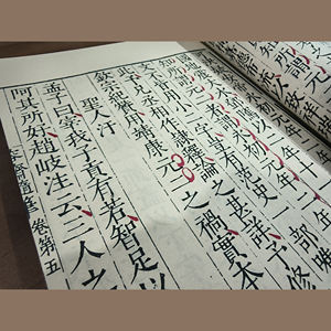 Рончжай Суибэй: Классические китайские прозаические заметки Хун Май - Product Image 3