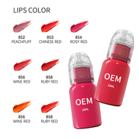 Pigment de maquillage semi-permanent pour le tatouage des lèvres et des sourcils Encre de haute qualité pour des améliorations de beauté durables