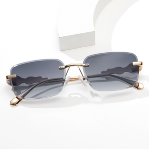 Gafas de Sol Rectangulares <span class=keywords><strong>BOOM</strong></span> 2021, Montura Metálica con Diseño de Cabeza de Leopardo, Sin Marco, para Hombre y Mujer, Gafas de Sol Cuadradas para Verano - Product Image 4