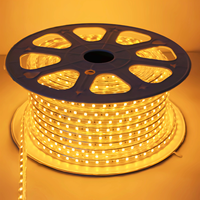 Bande lumineuse LED flexible 220V 60 LED/m SMD 5050 RGB, étanche IP67, revêtement PVC, découpable, contrôle par application, lampe à une seule rangée