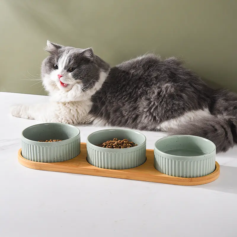 Produsen grosir vertikal grain keramik bingkai kayu hewan peliharaan kucing anjing mangkuk makanan