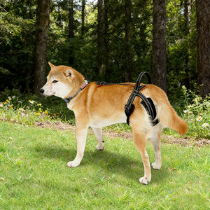 Harnais de levage pour chien, sangle de soutien pour chiens âgés, blessés ou handicapés, soutien des pattes arrière, ceinture réfléchissante, aide à la marche pour animaux de compagnie - Product Image 6
