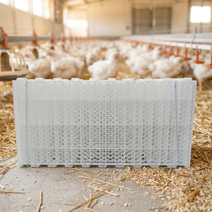 Plancher à lattes de haute qualité 120*50 cm pour poulets reproducteurs, pour élevage avicole, avec trous ronds 2.0x2.3cm - Product Image 1