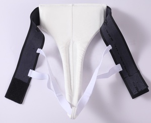 Protector de Taekwondo 2026, Equipo de Entrenamiento de Artes Marciales, Protector Inguinal Femenino para Taekwondo - Product Image 4