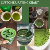 Poudre de Matcha Bio de Qualité Cérémoniale 6A | Thé Vert Minceur OEM | Emballage en Vrac Frais