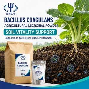 ผงโปรไบโอติก Bacillus Coagulans ละลายน้ำได้ 10 พันล้าน CFU/กรัม สำหรับอาหารสัตว์ สูตรอาหารสัตว์ - Product Image 4