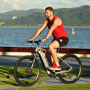 Venta Directa de Fábrica, Bicicleta Eléctrica de 29 Pulgadas, 9 Velocidades, Frenos de Disco Hidráulicos, Cuadro de Aluminio, EU001, Bicicletas Eléctricas para Adultos - Product Image 1