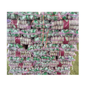 Meilleur prix de gros d'ail frais nouvelle récolte d'ail frais pour l'exportation de l'ail frais <span class=keywords><strong>Ado</strong></span> - Product Image 6