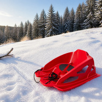 Toboggan en plastique pour enfants avec sangle de sécurité, luge d'hiver pour glisser sur la neige en plein air, idéal pour les stations de ski