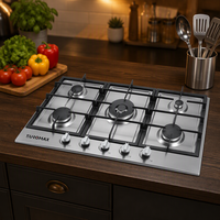 Table de cuisson à gaz 5 brûleurs OEM ODM, design personnalisé, cuisinière en acier inoxydable, exportation d'usine