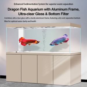 Acquario Rettangolare Super Bianco con Filtro Ecologico sul Fondo, Garanzia di 2 Anni, per Soggiorno, Ingresso, Vasca per Pesci Rossi - Product Image 2