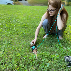 Correa de Pecho para Reptiles y Pequeños Animales con Diseño de Letras, Cuerda de Agarre y Correa de Escalada, Ideal para Camaleones, Ardillas y Lagartos Coloridos - Product Image 6
