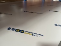 Panneau PET mat effet peau, couleur stable, pour la fabrication de portes d'armoires personnalisées pour chambres d'hôtel
