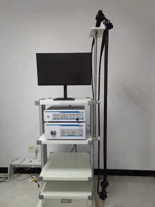 수의학 비디오 내시경 위내시경 대장내시경 동물용 개 고양이 유연한 위내시경 생검 채널 포함 - Product Image 2
