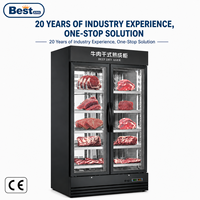 Armoire de maturation à froid pour viande de bœuf avec porte vitrée, refroidissement par air, -5 à 10°C ° Réfrigérateur pour restaurant de steakhouse et boucherie