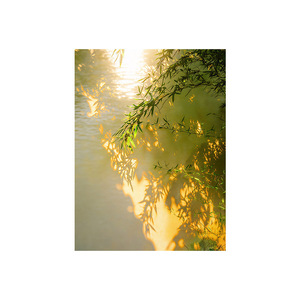 Framed Wall Art Oil <b>Canvas</b> Painting Bamboo Landscape Abstract Nature Print Rectangle Dark Brown <b>Frame</b> Living Room Bedroom Decor - Product Image 5