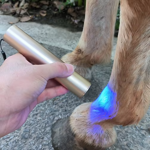 Smart Medical Laser Therapy Machine Veterinary Laser Rehabilitation for Cats Dogs Horses