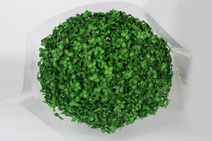 Alta calidad precios baratos flores naturales conservadas secas Anna Hortensia para decoración de boda decoración del hogar arreglo floral - Product Image 6