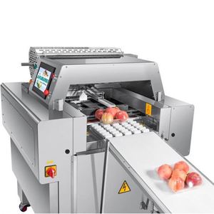 Máquina Automática de Envasado Horizontal para Supermercados, para Verduras, Frutas, Mariscos y Carne con Envoltura de Film Transparente - Product Image 2
