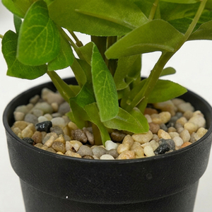 Artificial Succulent <b>Spring</b> Blossom Tabletop Pot Indoor Home Office Desk <b>Decor</b> Colorful Faux Plant Gift Idea Premium Quality - Product Image 2