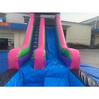 Toboggan aquatique gonflable commercial en PVC avec piscine et glissière pour adultes, idéal pour la maison, l'école ou l'extérieur