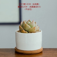 Worth 6 pièces ensemble Pot de succulentes en céramique Pots en céramique décoratifs pour plantes rondes petits Mini pots de fleurs en céramique blanche