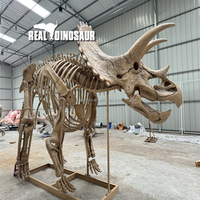 Répliques de fossiles de dinosaures artificiels pour exposition muséale, taille réelle, crâne de T-Rex