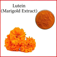 Extrait de marigold de qualité alimentaire, poudre pure avec zéaxanthine, en emballage en fût