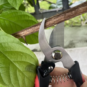Pinheng Stainless Steel <b>Pruning</b> Shears Bypass Red Manual For Fruit <b>Trees</b> And Bonsai Garden <b>Tools</b> - Product Image 4