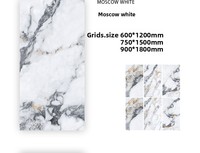 Carrelage en porcelaine effet marbre 600x1200mm antibactérien résistant aux taches CE