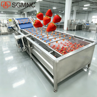 Automatische aardbeienwasmachine met continue doorstroming, 500 kg/uur, voor de verwerking van diepvriesaardbeien.