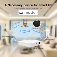 Puente Inteligente para el Hogar Tuya Zigbee Matter Thread, Compatible con Zigbee 3.0, Alexa, Echo y Asistente de Google para Hoteles