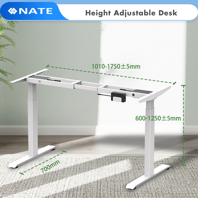 Electric Height Adjustable Standing Desk Dual Motor 3 Stage Frame 120kg Load Office Desk Factory Wholesale