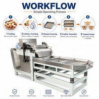 Concasseur automatique de petites noix, moteur pour le broyage des pistaches, haute efficacité, capacité de 300-500 kg/h, amande