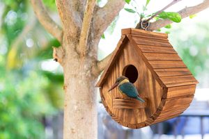 Wooden <strong>Polished</strong> Modern Bird Houses for Outdoor 3-Hole Bird House Room 3 Bird Families Bluebird Finch <strong>Cardinals</strong> Hanging Birdhouse - Product Image 5