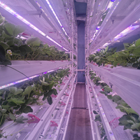Système de culture hydroponique automatisé Seedafarm pour fourrage en conteneur, avec contrôle environnemental intelligent, modèle de production annuelle en usine de plantes
