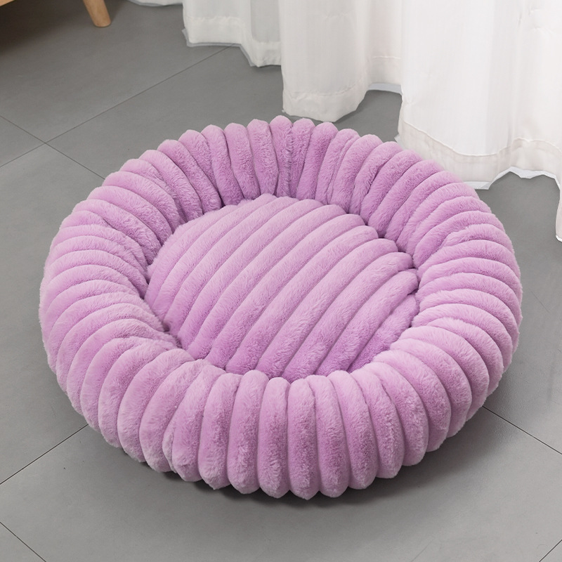 Pourpre