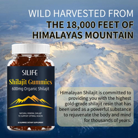Shilajit de l'Himalaya personnalisé Gummy Pure Supplément avec Ashwaganda Gummies Shilajit Gold sans sucre