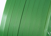 Vente chaude Polyester PET Palette Emballage Ceinture En Acier Cerclage Rouleaux Bandes Bande Bande En Plastique Cerclage Bande pour Emballage