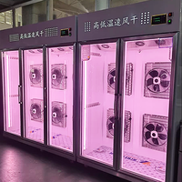 Armoire de séchage à air en acier inoxydable à température unique, vitrine réfrigérée à air avec 2/3 portes pour le séchage du canard rôti
