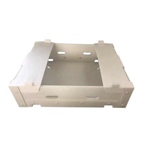 Boîtes d'emballage creuses recyclables en PP Quiabo Okra Boîte de chiffre d'affaires ondulée durable en plastique Coroplast