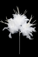 Fleur décorative fil tige plume Floral Pick pour arrangement floral approvisionnement fête de mariage vacances Vase décor à la maison