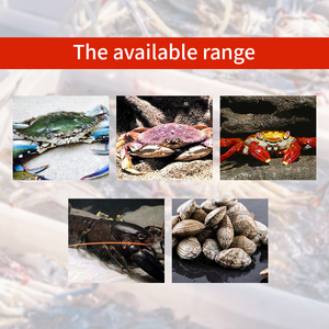 7 inch chuyên nghiệp <span class=keywords><strong>PVC</strong></span> tôm hùm & Cua đo Cai Trị - Product Image 4